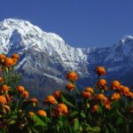 5 Days Annapurna Base Camp Trek - Why This Trek Offers Excellent Value