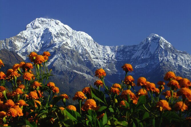 5 Days Annapurna Base Camp Trek - Why This Trek Offers Excellent Value