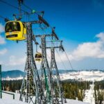 5-Days Kashmir tour includes Accommodation and Private Transportation - What Traveler Reviews Tell Us