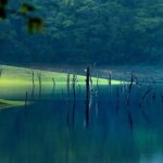 5 Days Luxury Kerala Tour with Houseboat Experience - Who Would Love This Tour?
