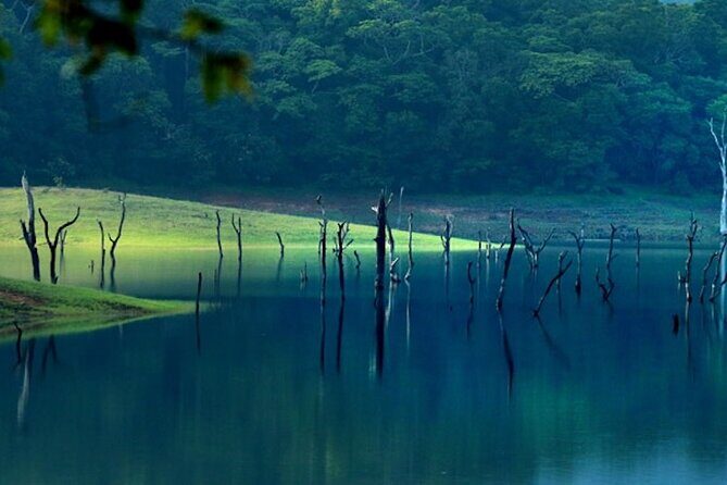 5 Days Luxury Kerala Tour with Houseboat Experience - Who Would Love This Tour?
