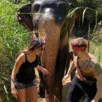 5 Days Tour in Sri Lanka (Hotels with Breakfast & Luxury Car) - Who Is This Tour Best For?