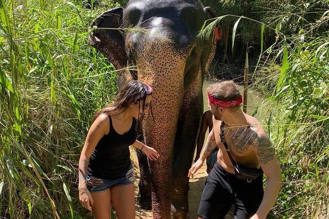 5 Days Tour in Sri Lanka (Hotels with Breakfast & Luxury Car) - Who Is This Tour Best For?