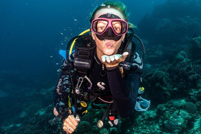 5 Fun Dives in Pemuteran (for certified divers) - Exploration in Menjangan Park - An In-Depth Look at the Experience