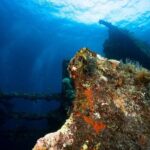 5 Fun Dives in Tulamben (for certified divers) - Discover famous diving sites - Frequently Asked Questions