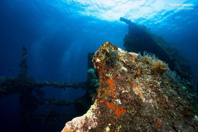 5 Fun Dives in Tulamben (for certified divers) - Discover famous diving sites - Frequently Asked Questions