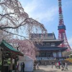 5-Hour Tokyo & Edo Hidden Gem Bike Tour with Lunch - Practical Details and Considerations