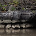 5 Hours Mangrove Boat Tour in Langkawi - Starting Point and Timing