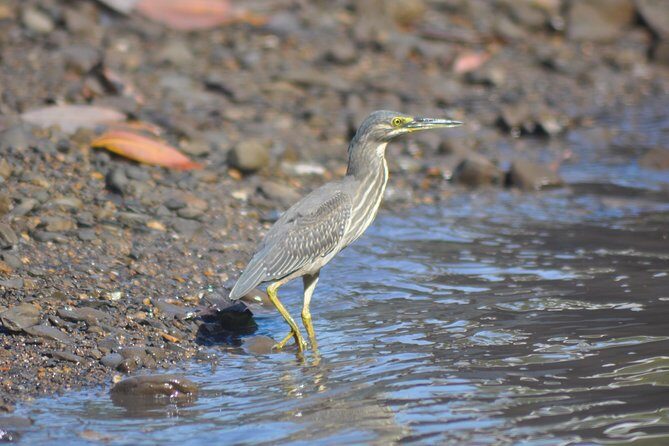 5 Hours Sharing Basis Kilim Mangrove Safari Boat Tour in Langkawi - Kilim Geoforest Park: The Starting Point