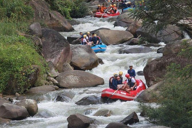 5 km White Water Rafting + ATV 1 Hour Tour From Phuket - Who Will Love This Tour?