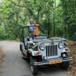 6-Day Kerala Private Tour: Periyar Wildlife Sanctuary - Analyzing the Value