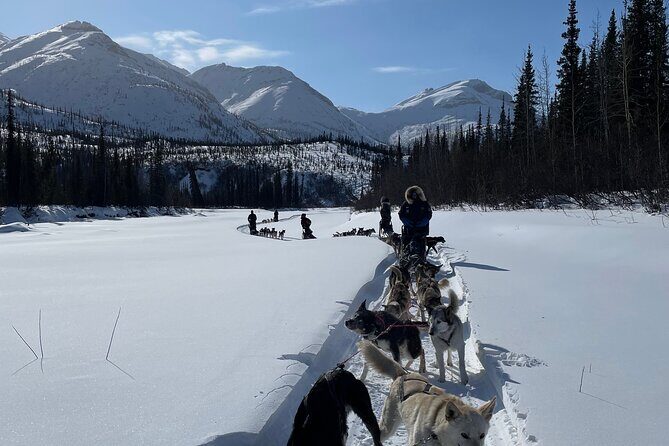 6 Days Brooks Range Expedition Private Tour - The Experience of the Guides & Review Highlights