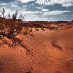 6 Days Color of Gobi Desert - Authentic Experiences That Make This Tour Special