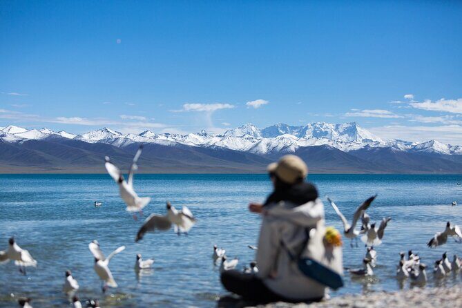 6 Days Lhasa Gyantse Shigatse Group Tour - What Makes This Tour Stand Out?