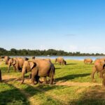 6 Days Nature And Culture Tour - Who Will Love This Tour?