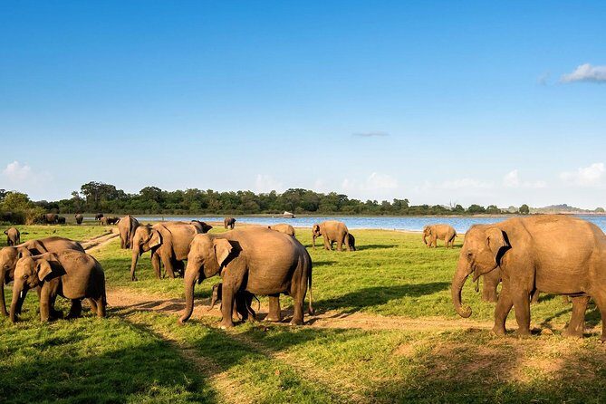 6 Days Nature And Culture Tour - Who Will Love This Tour?