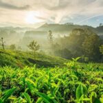 6 Days Private Tour Kerala Natural Retreat - Wildlife and Wilderness at Periyar