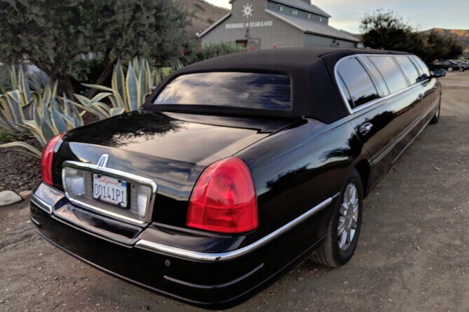 6-Hour Private Limousine Santa Barbara Wine Tour - Who Should Consider This Tour?