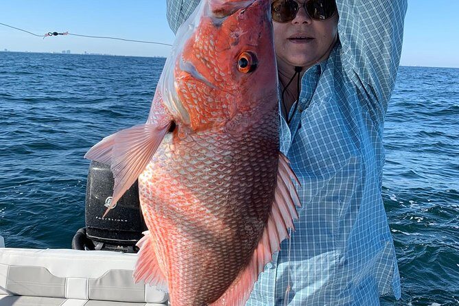 6-Hour Private Off-Shore Fishing Charter - The Seafood and Views
