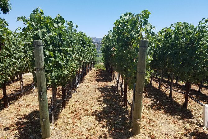 6 Hour Private Wine Country Tour (Sedan, SUV or Limo) - Final Thoughts