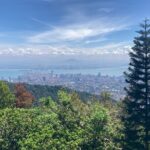 6-Hours Penang Private Tour - Final Thoughts: Is This Tour Worth It?