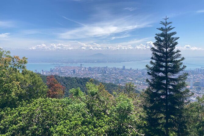 6-Hours Penang Private Tour - Final Thoughts: Is This Tour Worth It?