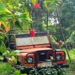 6 Hrs Off Road 4x4 Adventure of Hidden Gems In Koh Samui Hills 1 - 4 persons - What Youll Experience