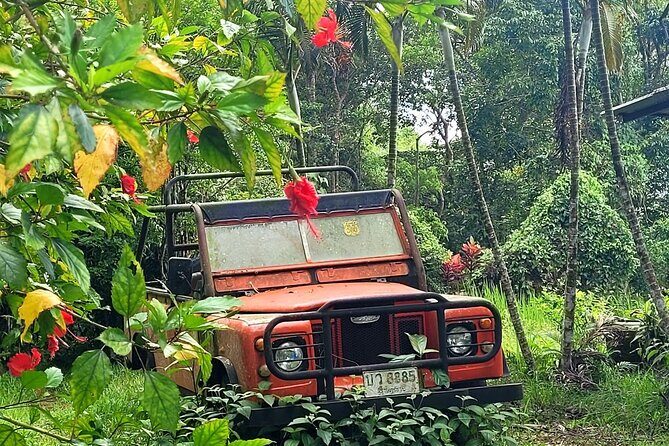 6 Hrs Off Road 4x4 Adventure of Hidden Gems In Koh Samui Hills 1 - 4 persons - What Youll Experience