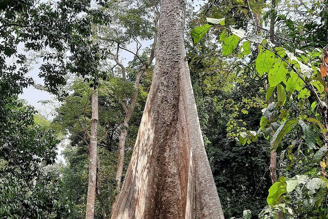 6D/5N Offbeat Walking Holiday in South and Middle Andamans - Final Thoughts: Is This Tour Right for You?