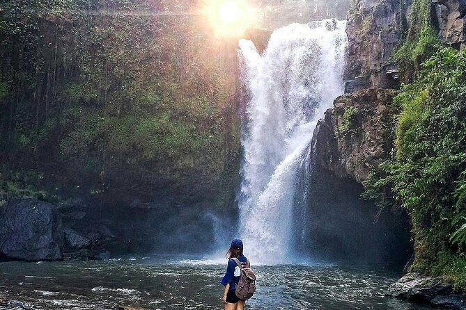 6h Private Tour in Ubud: Rice Terrace Swing, Temple, Waterfall - The Sum Up: Who Is This Tour Best For?