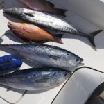 6HR Fishing Charter - Why This Tour Offers Great Value