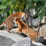 7 Day Golden Triangle Tour with Wildlife-Taj Mahal Tigers & Birds - Who Should Consider This Tour?