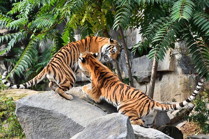 7 Day Golden Triangle Tour with Wildlife-Taj Mahal Tigers & Birds - Who Should Consider This Tour?