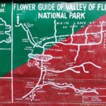 7 Day Tour to Valley of Flowers and Auli Hiking Adventure - Possible Drawbacks to Consider