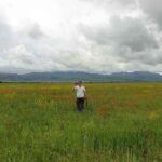 7 Days Almaty Tour Package - FAQ