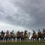 7 days Central Mongolia and Great Gobi - Practical Tips and What to Expect