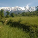 7 Days Dharamsala - Dalai Lama home Trek - Authentic Experiences and Practical Details