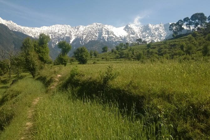 7 Days Dharamsala - Dalai Lama home Trek - Authentic Experiences and Practical Details