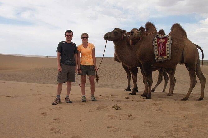 7 days Great Gobi Tour - The Sum Up