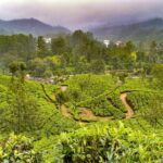 7 Days Kerala Tour- Munnar, Periyar, Houseboat & Varkala Beach - An In-Depth Look at the 7-Day Kerala Tour