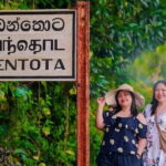 7 Days Sri Lanka Sightseeing Tour - Who Will Love This Tour?