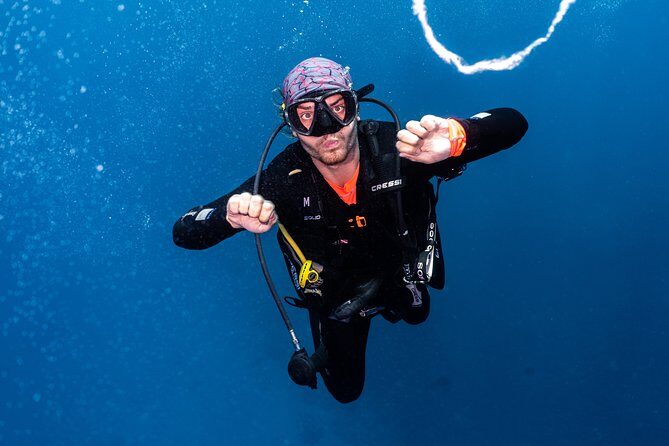 7 Fun Dives in Pemuteran (for certified divers) - Exploration in Menjangan Park - What the Tour Looks Like: An Itinerary Breakdown