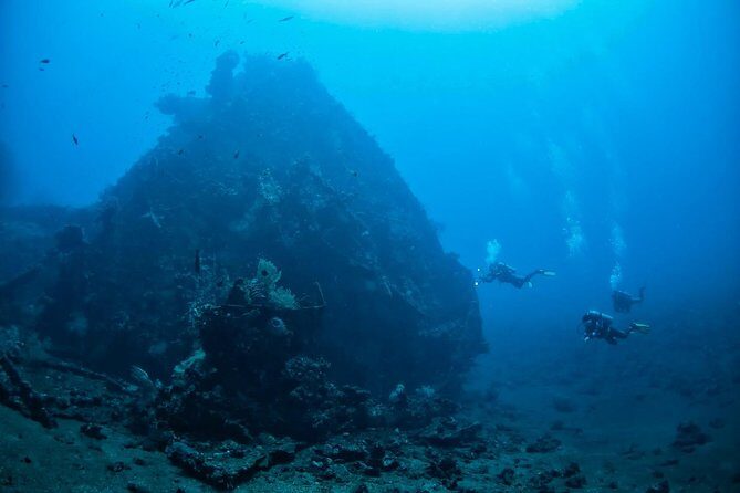 7 Fun Dives in Tulamben (for certified divers) - Premium Value Package - Overview of the Experience