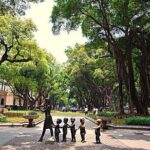 7-Hour Customised Private Guangzhou Sightseeing and Shopping Tour - Practical Considerations and Tips