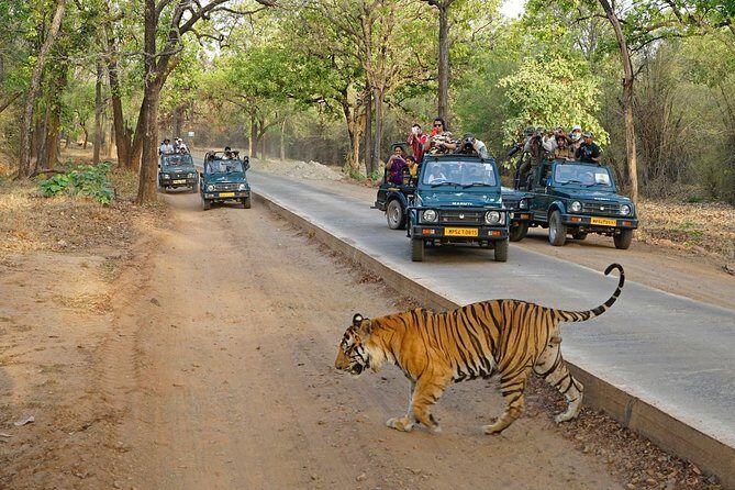 8 Day Golden Triangle Tour with Ranthambore {Taj , Tigers & More} - FAQs