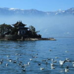 8 Days Classic Tour of Yunnan - What Reviewers Say