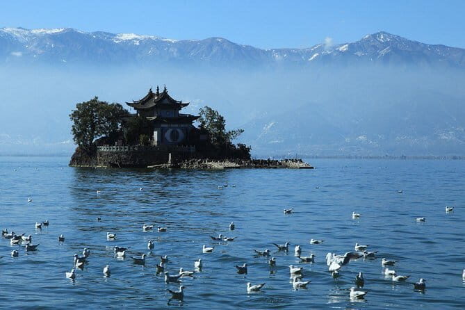8 Days Classic Tour of Yunnan - What Reviewers Say