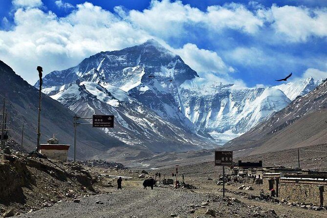 8 Days Lhasa Gyantse Shigatse Mt Everest Group Tour - FAQ