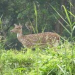 8 Days Luxury Nepal Tour - Day-by-Day Breakdown