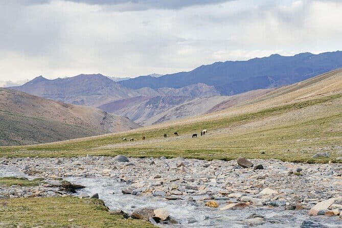 8 Days Mountaineering Experience in Ladakh India - What You’ll Love About the Experience